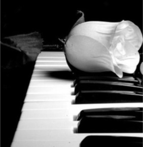 Black Piano Keyboard w-White Rose